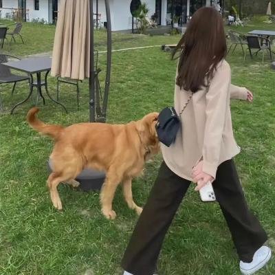 谋杀犯